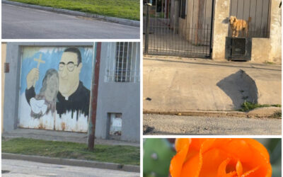 Narrativas Barriales en Don Bosco